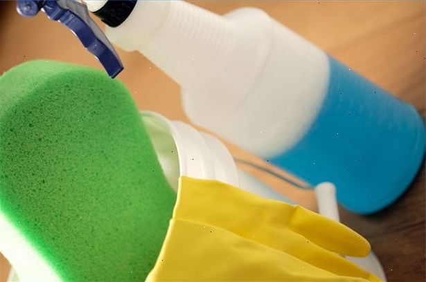 Hvordan man kan reducere giftige kemikalier i det levende miljø. Rengøring materiale.