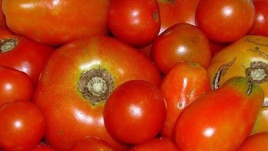 Hvordan man dyrker en tomatplante. Jorden.